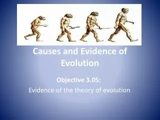 Causes and Evidence of Evolution
