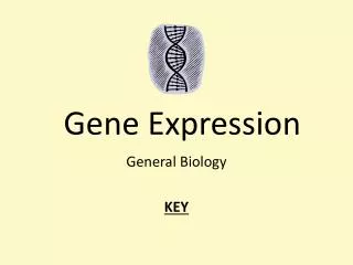 Gene Expression