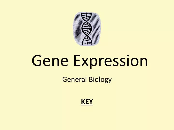 gene expression