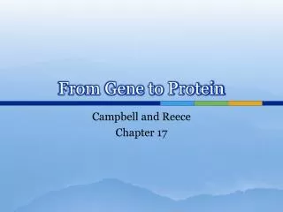 From Gene to Protein