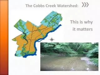 The Cobbs Creek Watershed: