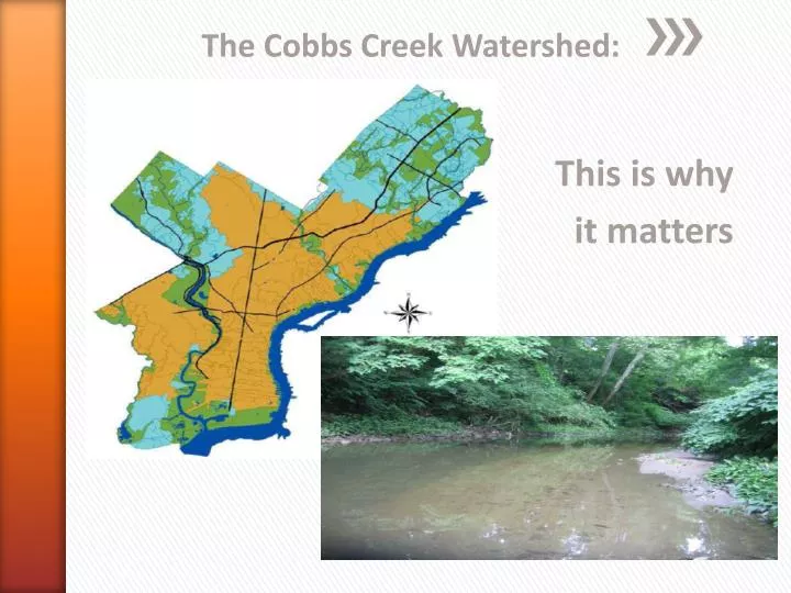 the cobbs creek watershed