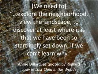 Annie Dillard, as quoted by Richard Louv in Last Child in the Woods