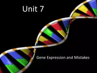 unit 7