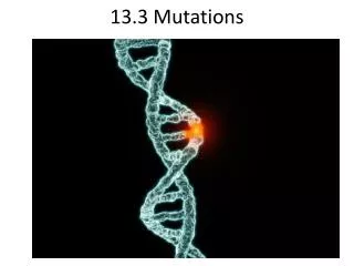 13.3 Mutations
