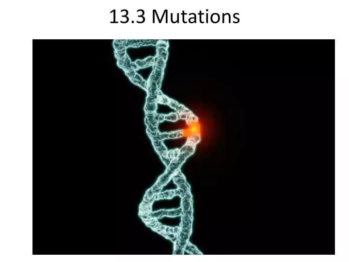 13 3 mutations