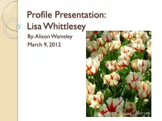 Profile Presentation: Lisa Whittlesey