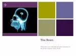 The Brain - slide 1