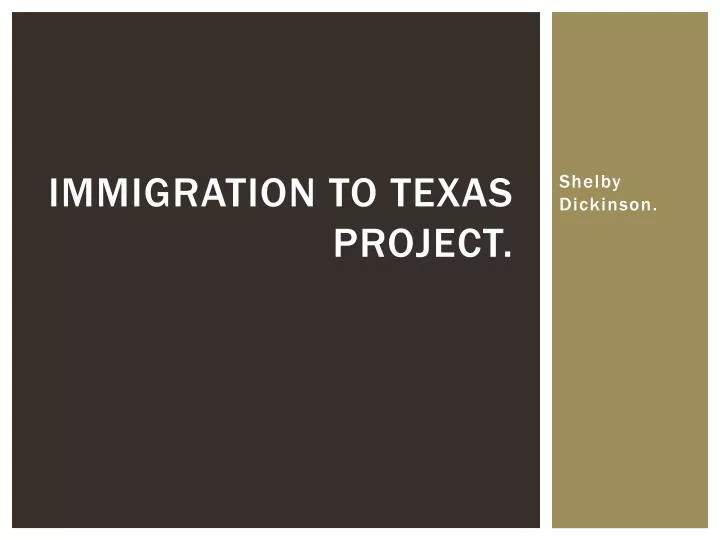 immigration to texas project