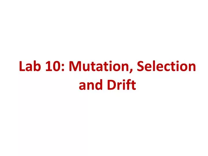 lab 10 mutation selection and drift