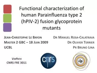Functional characterization of human Parainfluenza type 2 (hPIV-2) fusion glycoprotein mutants