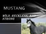 MUSTANG - slide 1