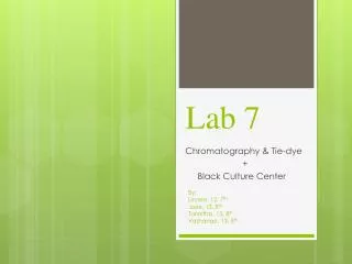 Lab 7