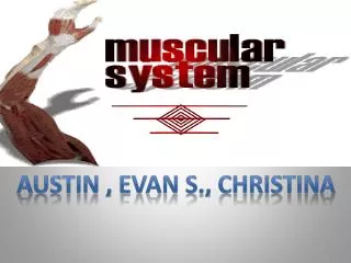 Austin , Evan S., Christina
