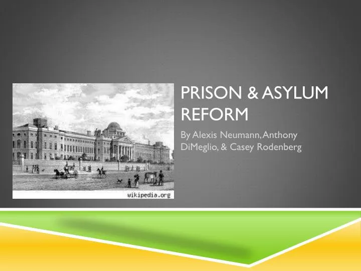 prison asylum reform