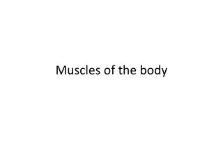 Muscles of the body