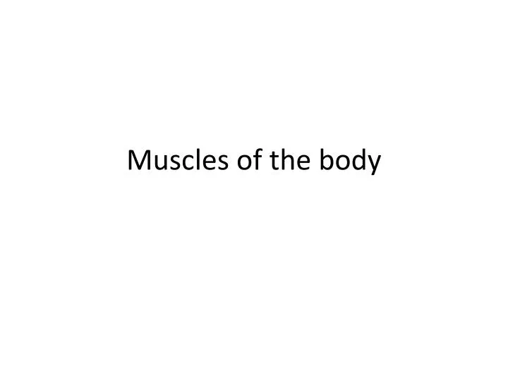 muscles of the body