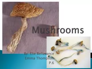 Mushrooms