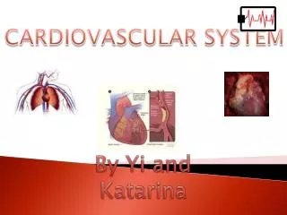 CARDIOVASCULAR SYSTEM