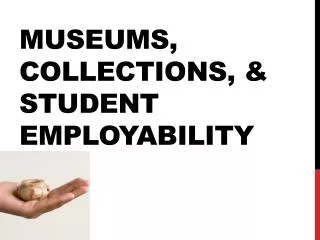 Museums, Collections, &amp; Student Employability