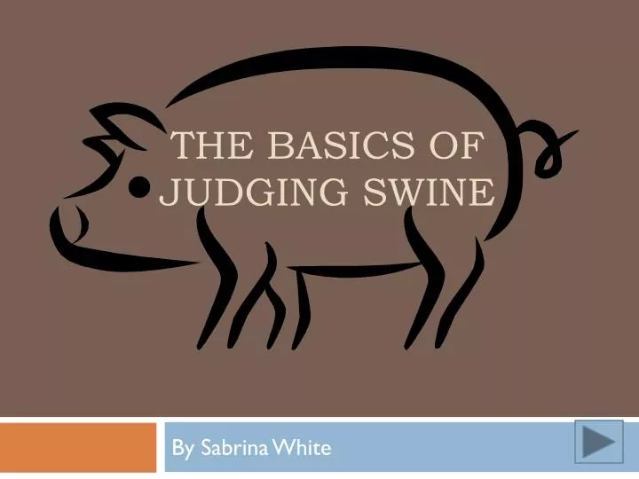 the basics of judging swine