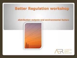 Better Regulation workshop distribution outputs and environmental factors