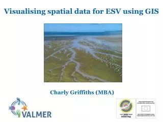 Visualising spatial data for ESV using GIS