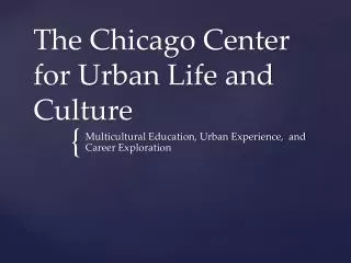 The Chicago Center for Urban Life and Culture