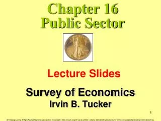 Chapter 16 Public Sector
