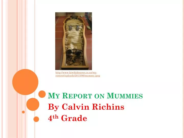 my report on mummies