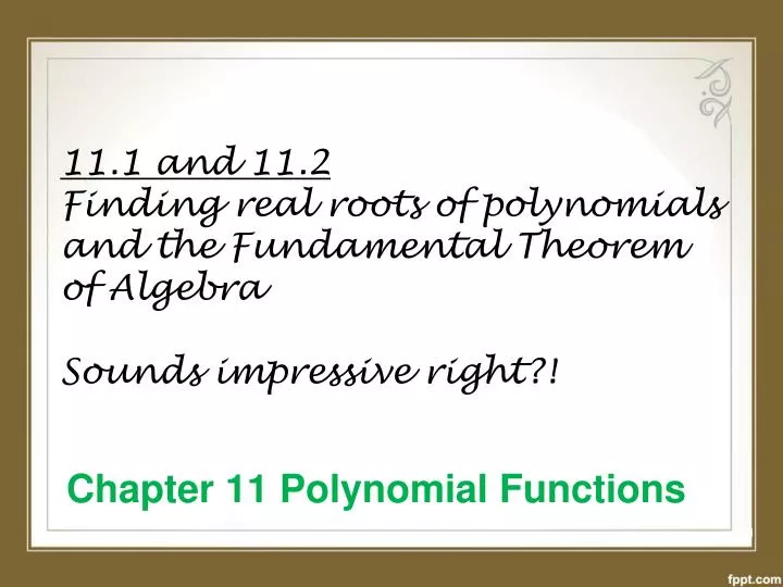 chapter 11 polynomial functions