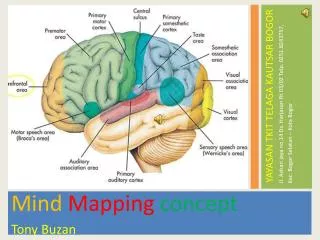 Mind Mapping concept Tony Buzan