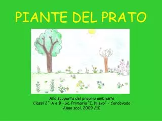 piante del prato