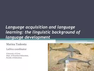 Language acquisition and language learning: the linguistic background of language development