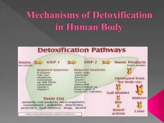 Mechanisms of Detoxification in Human Body