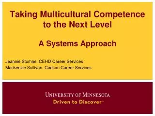 Taking Multicultural Competence to the Next Level A Systems Approach