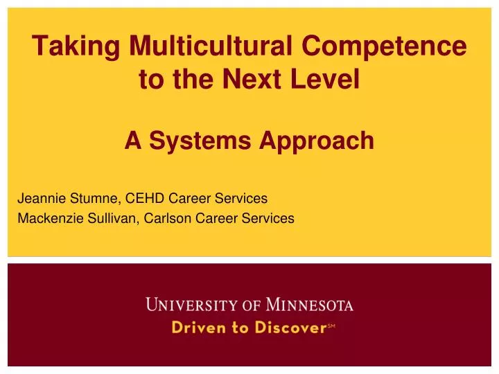 taking multicultural competence to the next level a systems approach