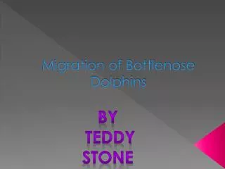 Migration of Bottlenose Dolphins