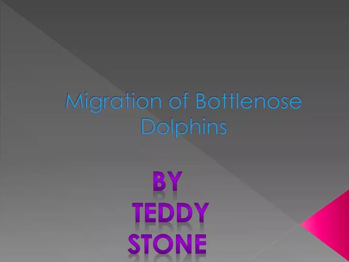 migration of bottlenose dolphins