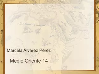 medio oriente 14