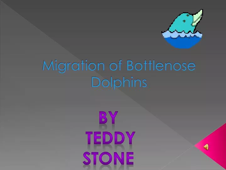 migration of bottlenose dolphins