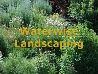 Waterwise Landscaping