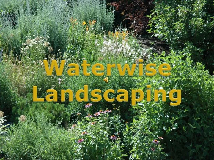 waterwise landscaping