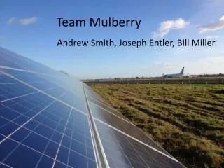 Team Mulberry