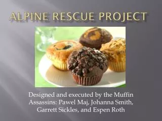 alpine rescue project