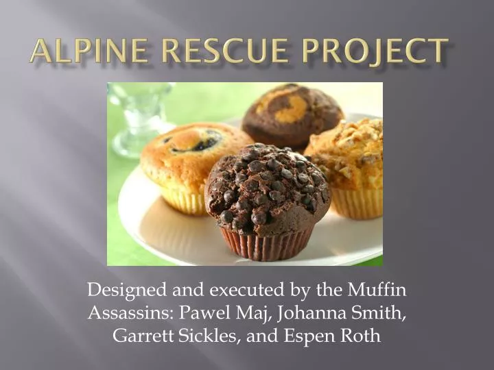 alpine rescue project