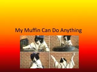 My Muffin Can Do Anything