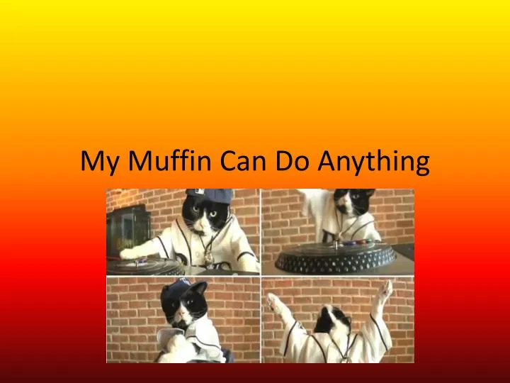 my muffin can do anything