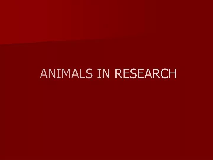 animals in research