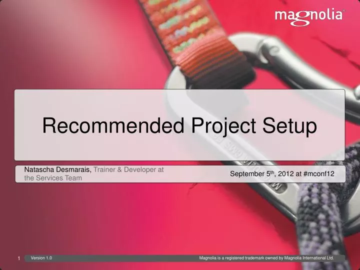 recommended project setup